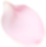 ۰۲۴